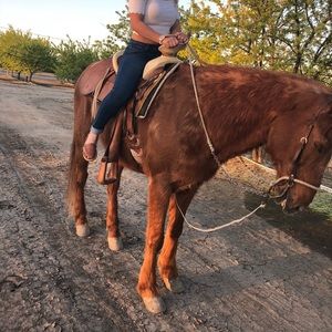 Meet your Posher, Mariah